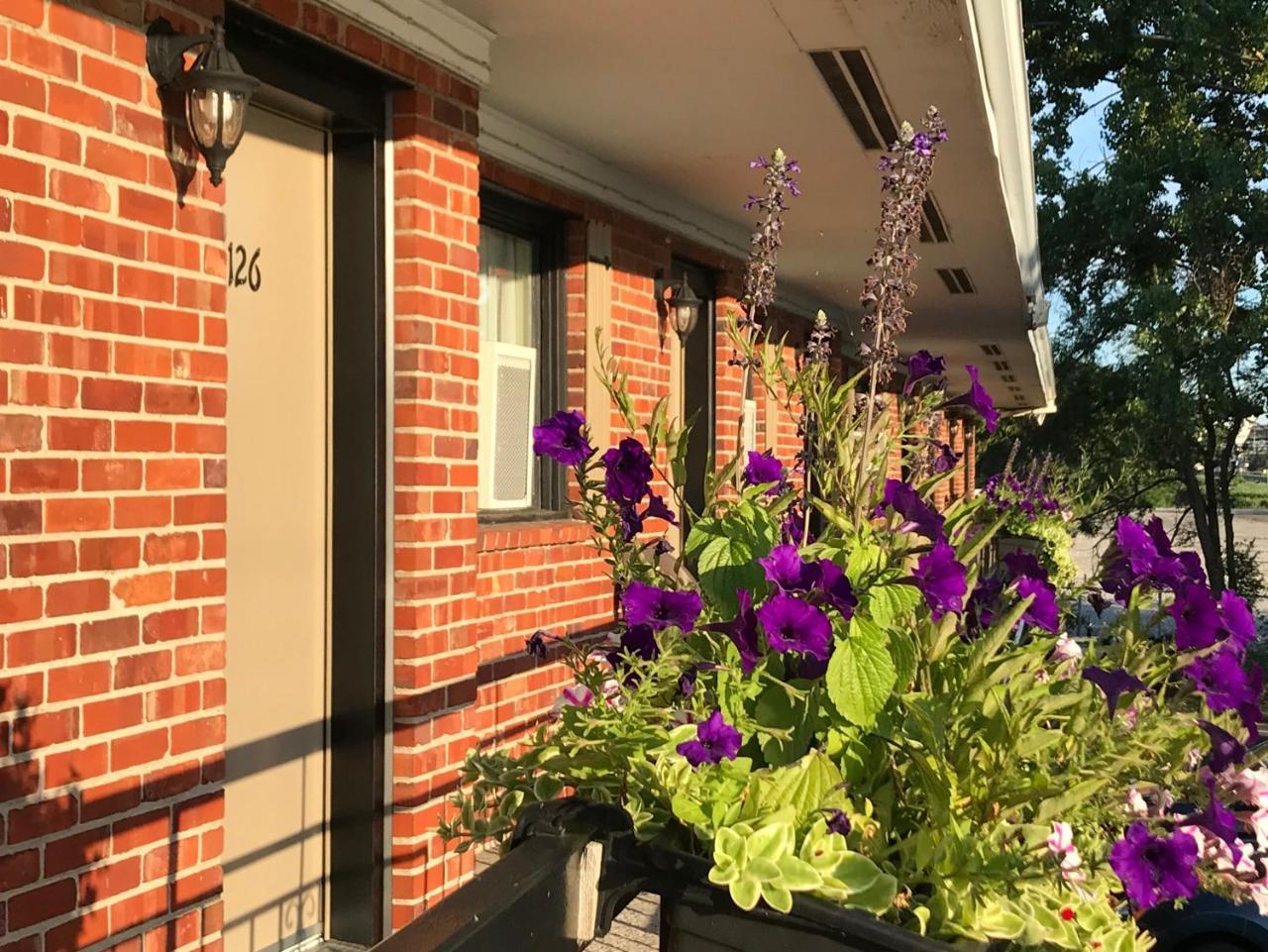 Motel Du Fleuve Brossard Dış mekan fotoğraf